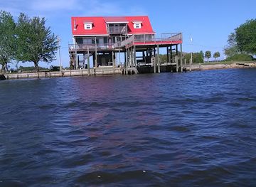 mississippi/the-river-region/attraction/de-soto-national-forest