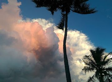 florida/islamorada/attraction/pier-21-do-fefe