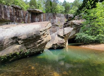 illinois/shawnee-national-forest/attraction/bell-smith-springs-scenic-area