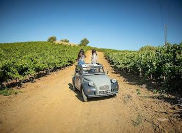 portugal/caldas-da-rainha/attraction/vinhos-franco