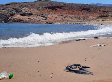 greece/mykonos/agios-ioannis/attraction/paralia-gialoudia