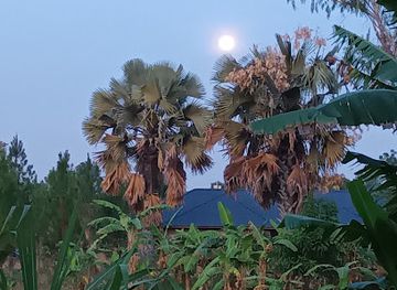 uganda/gulu/attraction/ocitti-emma-p-atingo