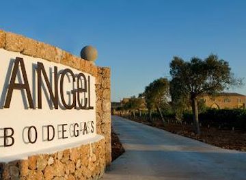 spain/palma-de-mallorca/attraction/bodegas-angel