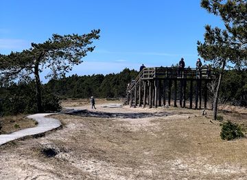 lithuania/curonian-spit-national-park/attraction/vecekrug-dune