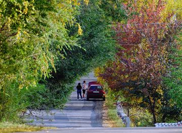 kazakhstan/kolsai-lakes-national-park/attraction/colorful-trees
