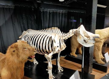 japan/osaka/tennoji/attraction/tennoji-zoo-museum