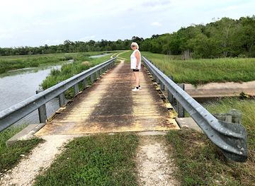 texas/beaumont/attraction/cattail-marsh-scenic-wetlands-boardwalk