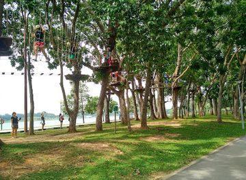 singapore/east-coast-park/attraction/forest-adventure-pte-ltd
