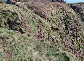 Traie Fogog Beach