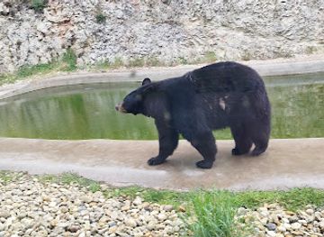 hungary/veszprem/attraction/veszpremi-allatkert