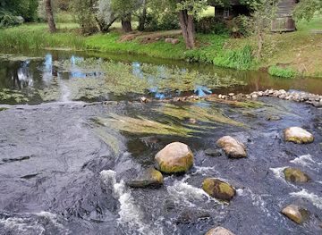 estonia/setomaa/attraction/leevi-rafting
