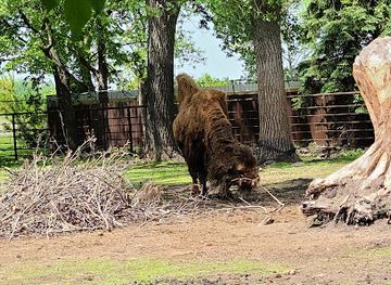 south-dakota/great-plains/attraction/bramble-park-zoo