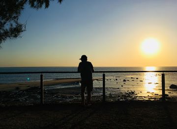 australia/darwin/attraction/monsoon-forest