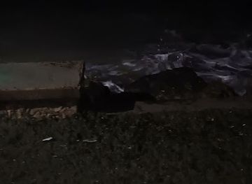 belize/corozal-district/attraction/masala-park