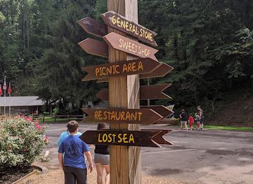 The Lost Sea Adventure