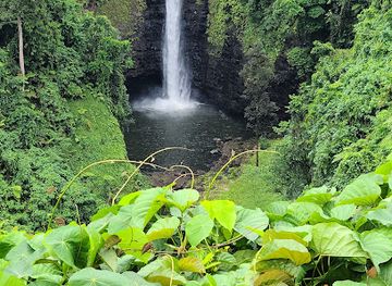 Sopo'aga Falls Viewpoint