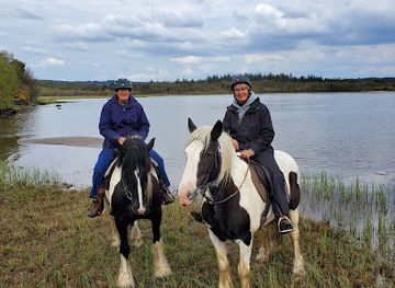 ireland/the-burren/attraction/galway-clare-burren-trail-ride-an-sibin-riding-centre