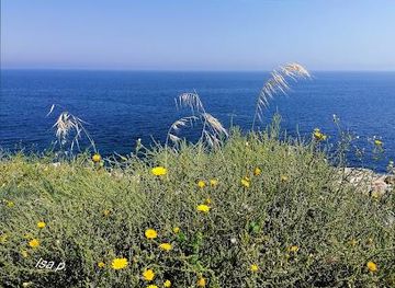 italy/bari/attraction/lungomare-cristoforo-colombo