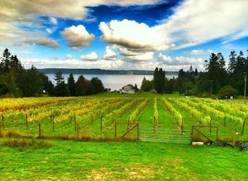 washington/everett/attraction/marrowstone-vineyards