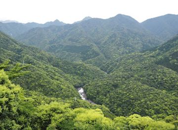 japan/yakushima/attraction/ming-xing-yue-zhan-wang-tai
