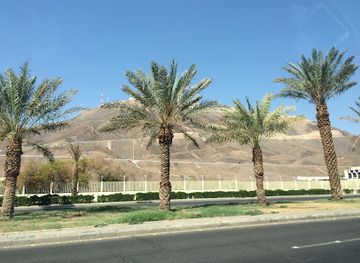 saudi-arabia/medina/attraction/palms-park