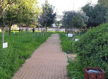 israel/ra-anana/attraction/shmurat-teva-etz-hashizaf