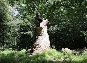 denmark/north-zealand/attraction/snoegen