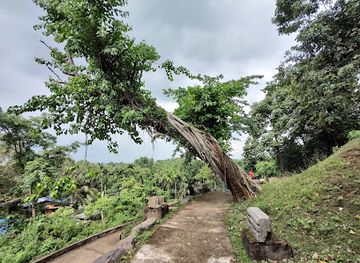 india/northeast-india/attraction/bamuni-hills