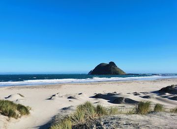 chile/patagonia/attraction/yani-dunes