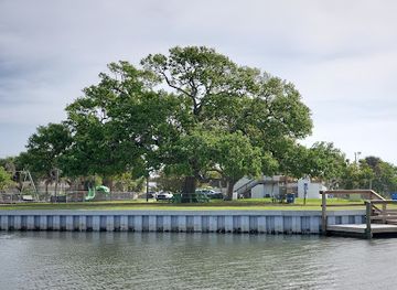 florida/space-coast/attraction/cocoa-beach-dolphin-tours