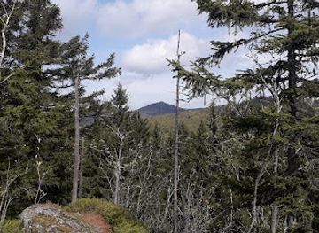 germany/bavarian-forest-national-park/attraction/tummelplatz