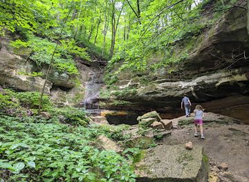 iowa/pikes-peak-state-park/attraction/wyalusing-state-park