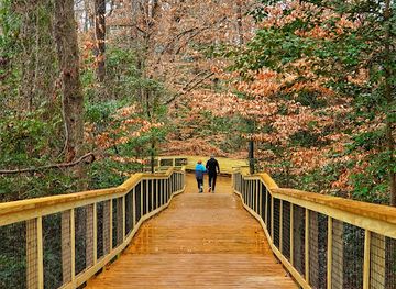 south-carolina/congaree-national-park/attraction/harry-hampton-visitor-center