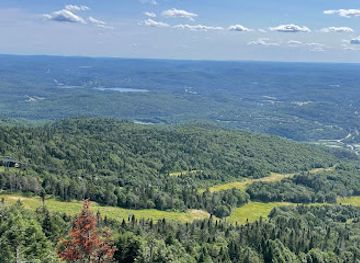 canada/laurentides/attraction/birds-of-prey