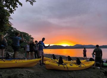 costa-rica/jaco/attraction/bioluminescence-costa-rica
