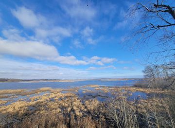 delaware/bombay-hook-national-wildlife-refuge/attraction/shearness-tower-trail