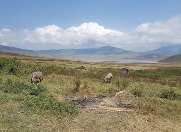 tanzania/ngorongoro-conservation-area/attraction/massai-dorf