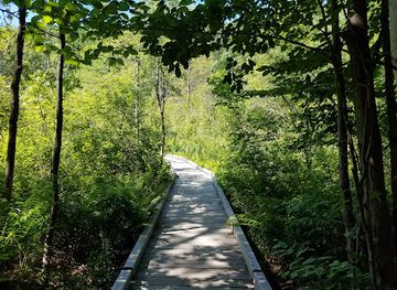 vermont/mount-ascutney-state-park/attraction/eshqua-bog-natural-area