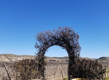 arizona/flagstaff/attraction/bliss-wine-tours-sedona