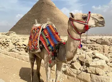 Pharaohs Tours