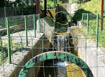 slovenia/velenje/attraction/vasko-perisce