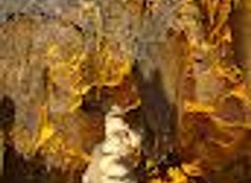 alabama/dothan/attraction/florida-caverns-state-park-visitor-center