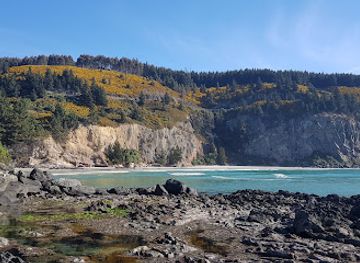 new-zealand/otago/attraction/doctor-s-point-reserve