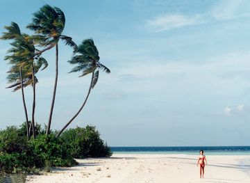 maldives/vaavu-atoll/attraction/rakeedhoo-beach