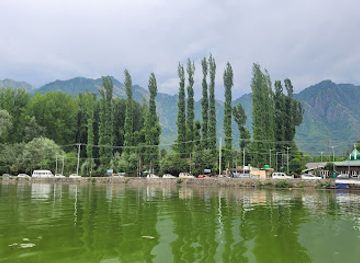 india/kashmir-great-lakes/attraction/dal-lake