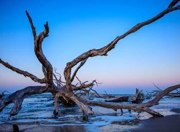 florida/jacksonville/attraction/big-talbot-island-state-park