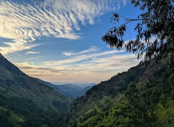 sri-lanka/ella/attraction/foggy-road