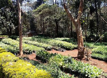 kenya/mount-kenya-region/attraction/kenya-forest-service-meru-ec-office