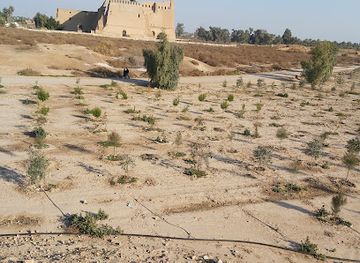 iraq/muthanna/attraction/al-mada-in-park