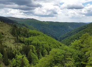 romania/prahova-valley/attraction/daffodils-glade